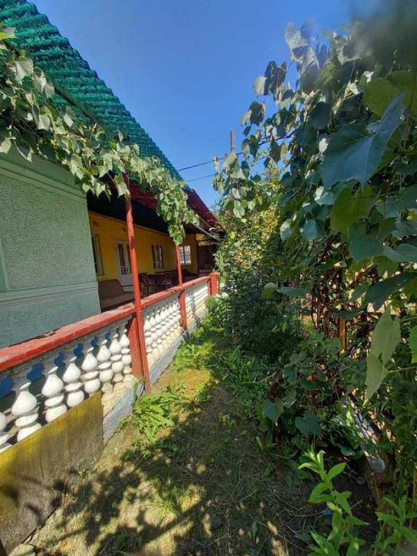 Vànd casa in Grebenisul de Campie jud. Mureş