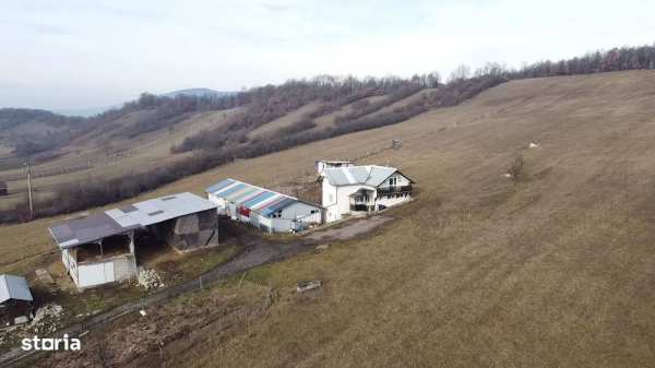Ferma cu casa și anexe și 9.000 mp teren în Domnești Jud. B-N