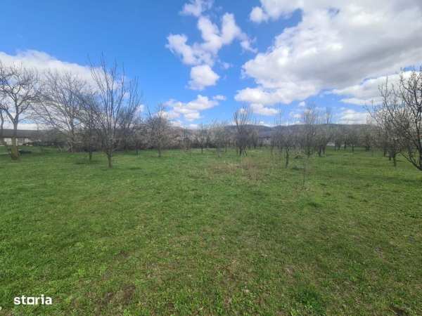 Teren de vanzare in Brebu - Zona Brebu Megiesesc