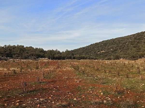 Uygun fi̇yatli tarla 13.400m²