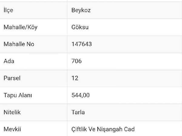 Beykoz göksu'da  boğaz manzarali ev ve cafe