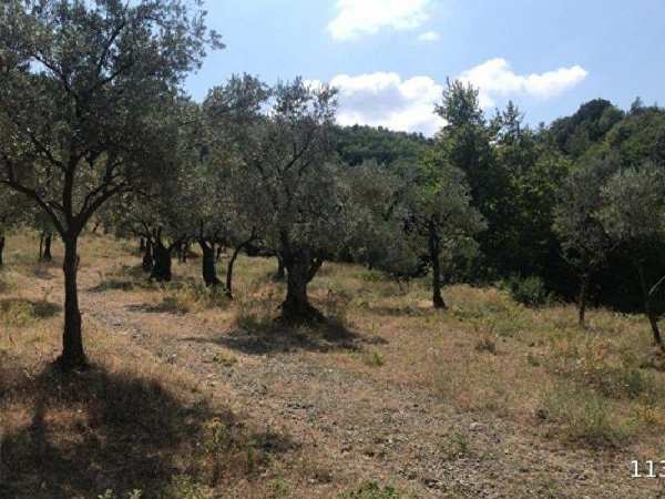 Çinarcikda bungalov ve ti̇nyy hause yapimina uygun deni̇z manzarali hari̇ka arazi̇