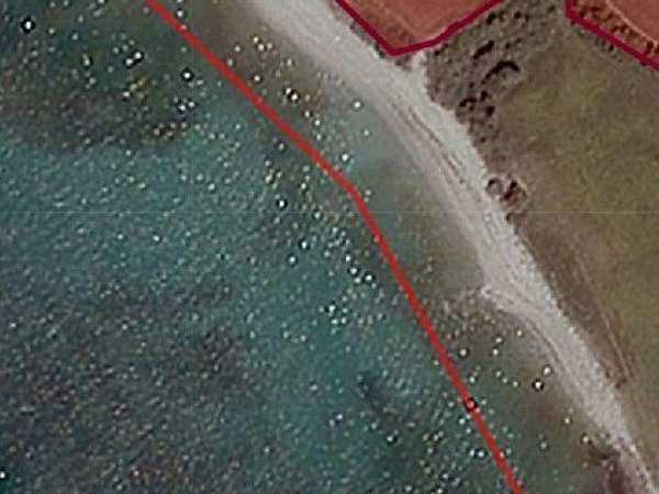 Anka grubdan satilik  5.864  m2 satilik tarla i̇mari̇ ci̇kmi̇s  i̇mar sonrasi 3 bi̇n m2 oluyor  muğla
