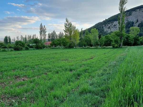 Imarlı arsa 2536 metre