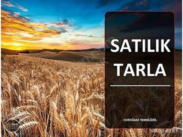Ankara polatlı beşköprü mahallesi satılık tarla