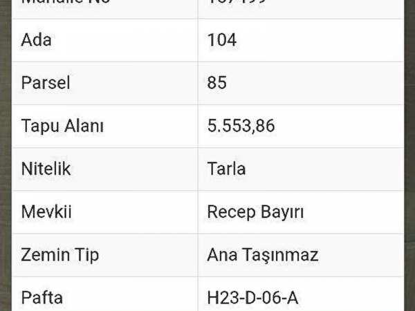 Eylül emlak tan i̇negöl bogazkoyde satilik yatirim i̇ci̇n uygun arazimiz satişa çikmiştir