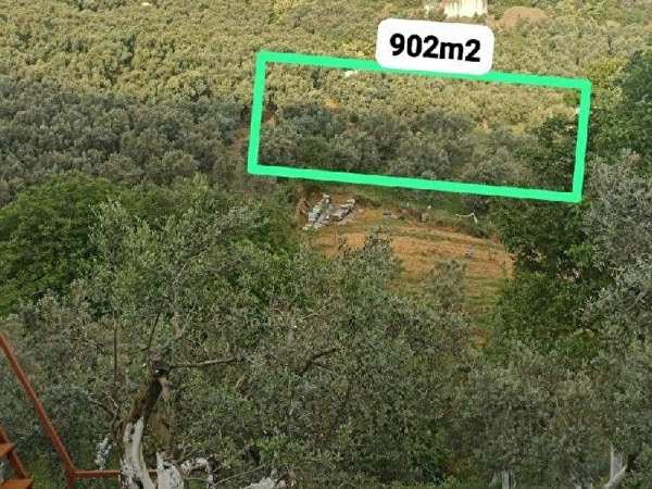 Fiyat düştü i̇mar siniri i̇çi̇nde yatirimlik firsat 902m2 yatirimlik zeyti̇nli̇k