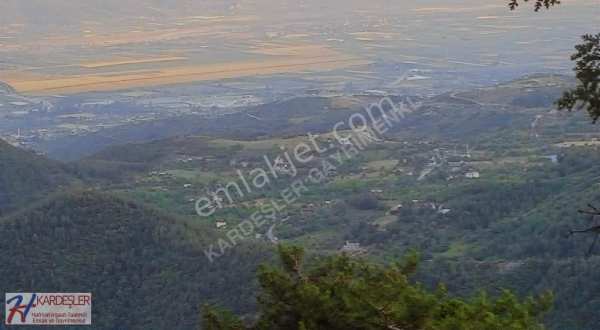 10.000 m2 manzarali findik ve ki̇raz bahçesi̇