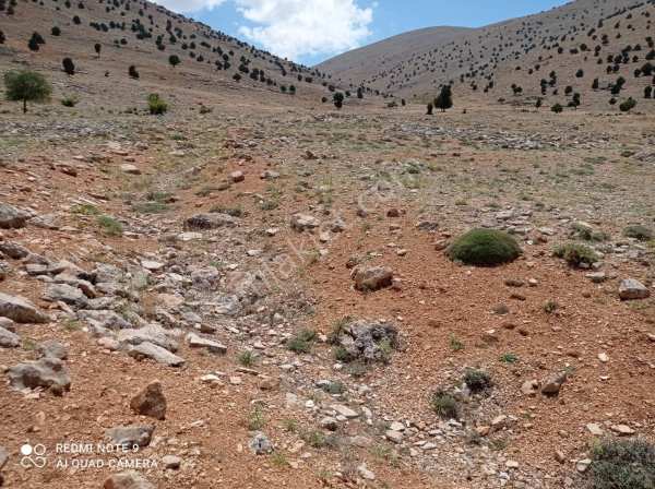 Sahibinden korkut elinde  yayla villa arazisi