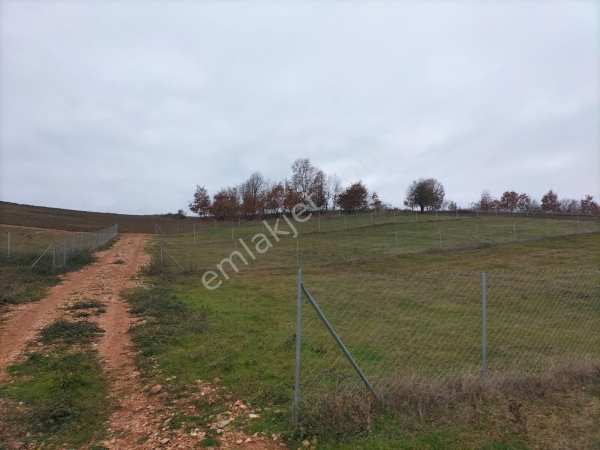 Bursa kılıç tan erdoğan köyün de satılık tarla 900 m2