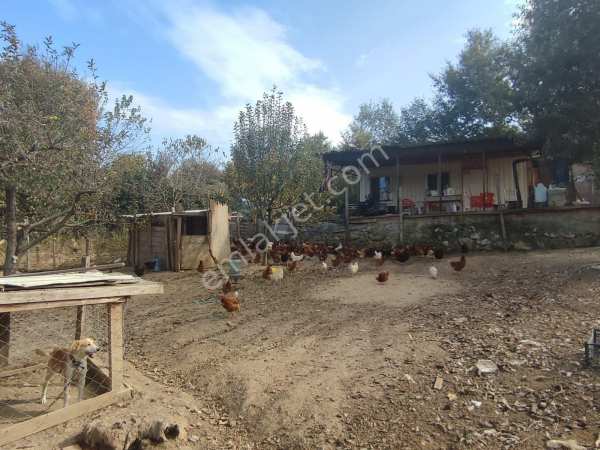 Home i̇n bursa i hasanağa'da kiralık hobi bahçesi