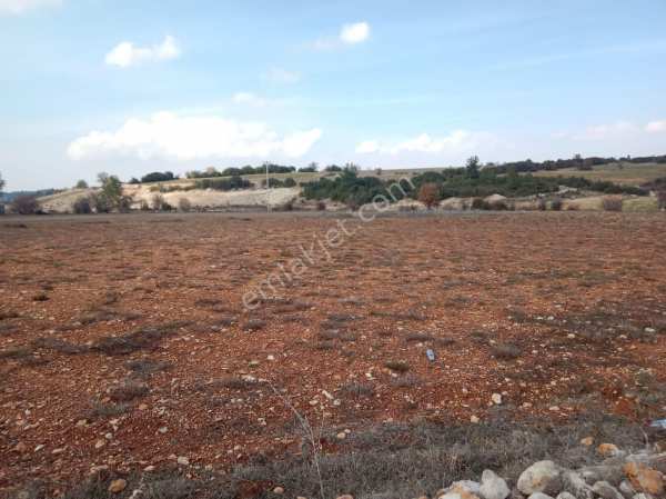 Satilik tarla pamukkale gözler mahallesi̇nde