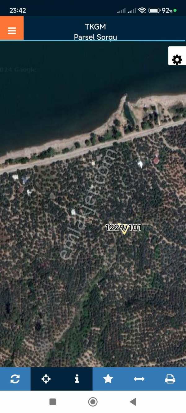Bursa i̇znik mustafalı mh satlık zeytin
