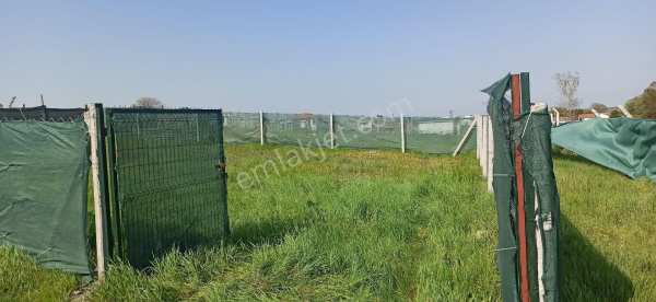 Sahibinden saray bahcedere köyünde 250 m2 imarlı arsa dan hisse