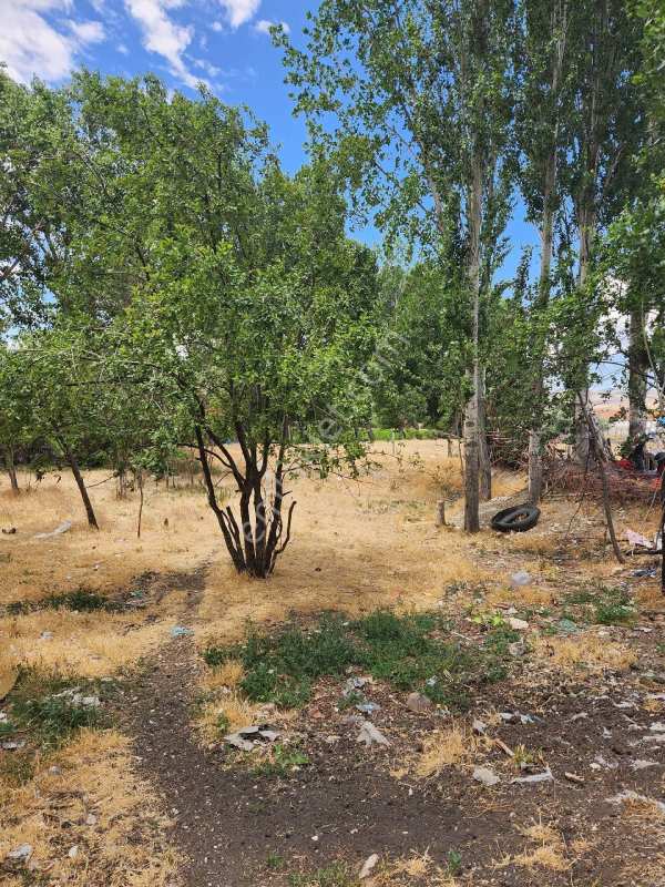 Amasya suluova yeni doğan 700 m2 3 kat imarlı arsa