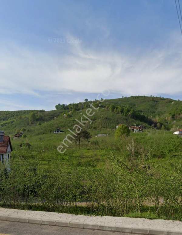 Sahibinden kuzuluk 1458 m2 tek tapu