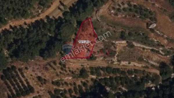 Manavgat burmahan'da tek tapu satılık tarla