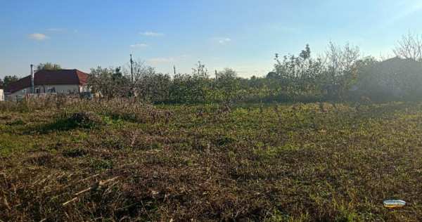 Teren 1000 m pătrați cu apă trasă