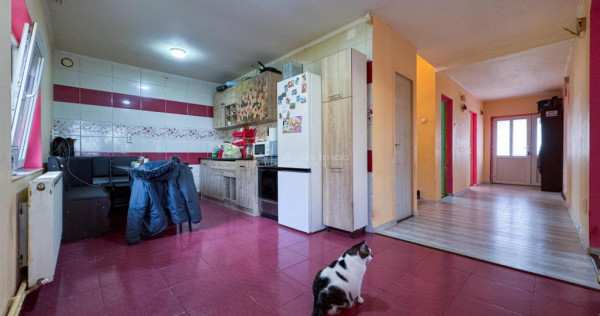 Casa p m - zavoi -5 camere