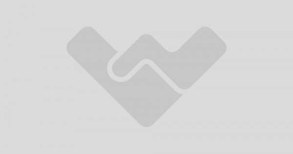 | 5 camere | centrala | 2 parcare | curte |