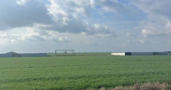 Teren intravilan pielesti, 500 mp