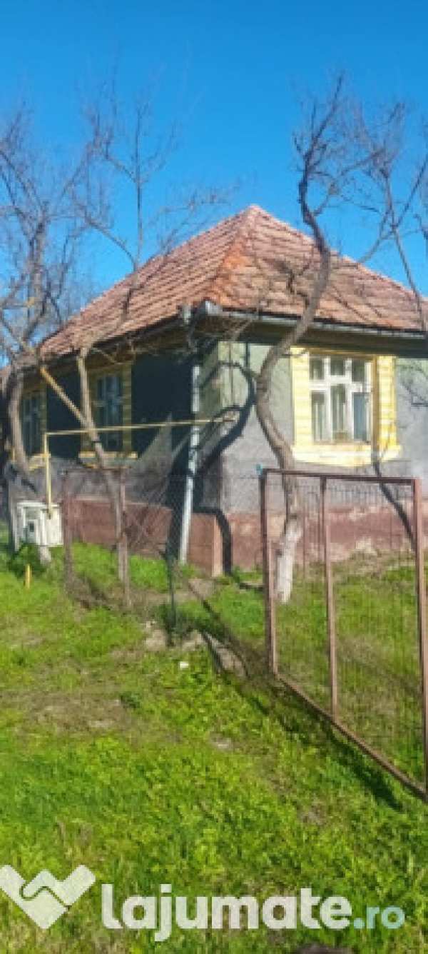 Vând casă și curte