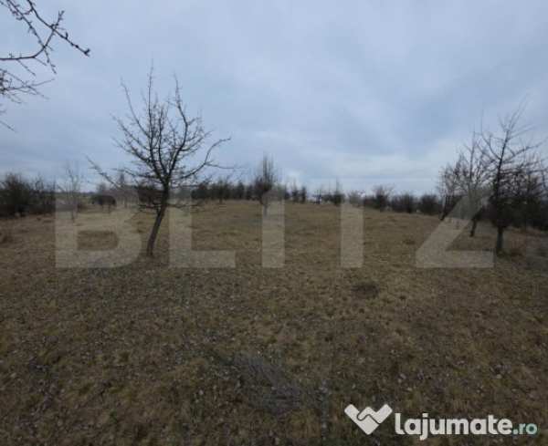 Teren extravilan de vanzare, 900 mp, bistrita
