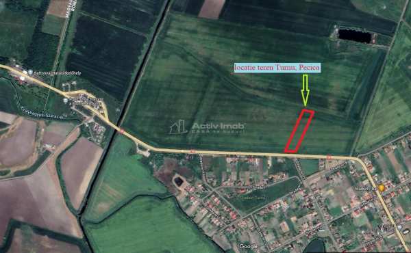 120 ari in localitatea turnu, 60 m la asfalt, dn 7b, 15 km de arad