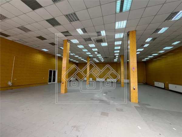 Spatiu industrial si de birouri in zona terezian - finisaje moderne