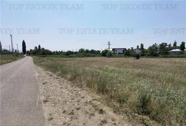 Teren intravilan 17.500mp chitila - oxigenului