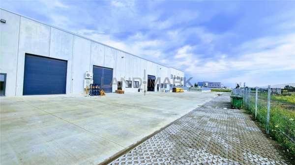 Exclusivitate, hala industriala, 550 mp, calea lugojului