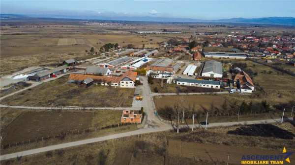Film! 263.000 mp+complex agrozootehnic cu traditie,accesorizat+potential a,borosneu