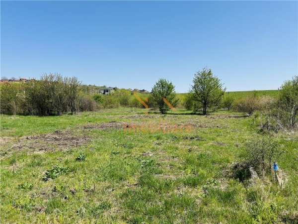 Teren intravilan | 687 mp | la 100 m distanta de lac, zona paleu