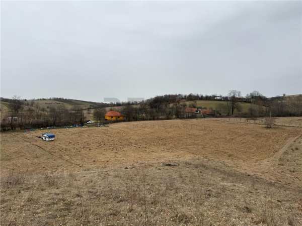 Reco , teren intravilan in tomnatic, vadu crisului