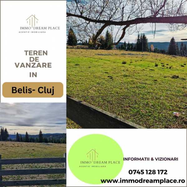 Teren de vanzare in belis