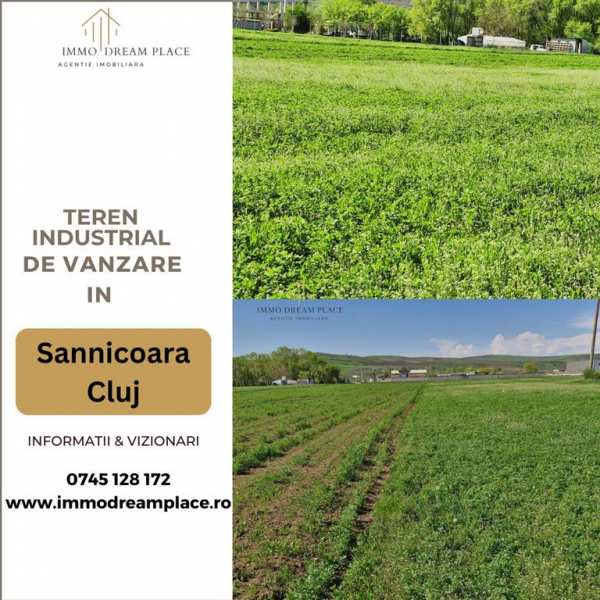 Teren de vanzare in sanicoara - destinatie industriala