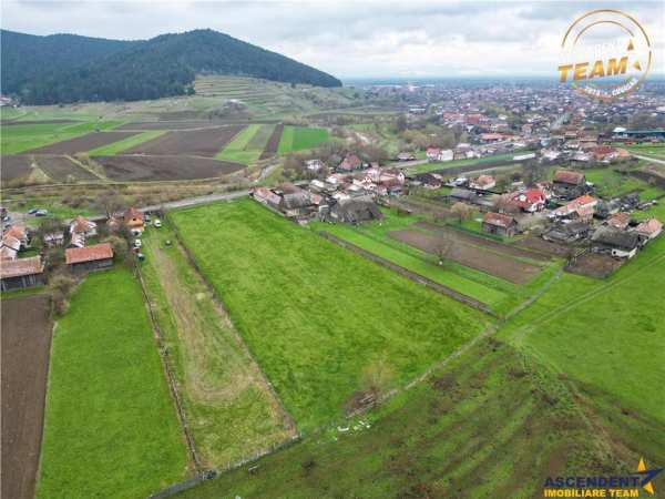 Teren strategic pentru dezvoltare si investitie, 8.000 mp intravilan valoros, sanzieni, covasna