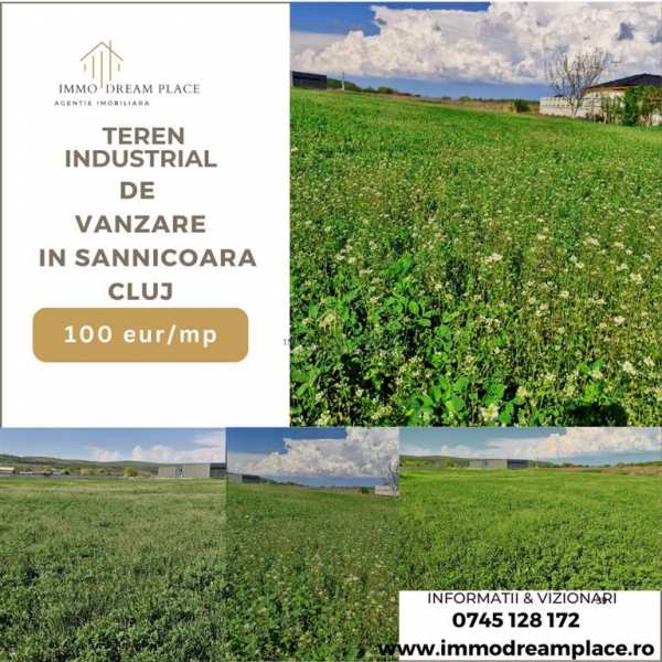 Teren de vanzare in sanicoara in zona cu destinatie industriala