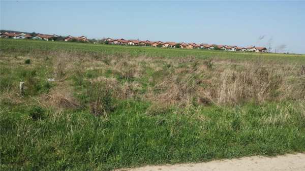 Reco teren intravilan paleu 500mp