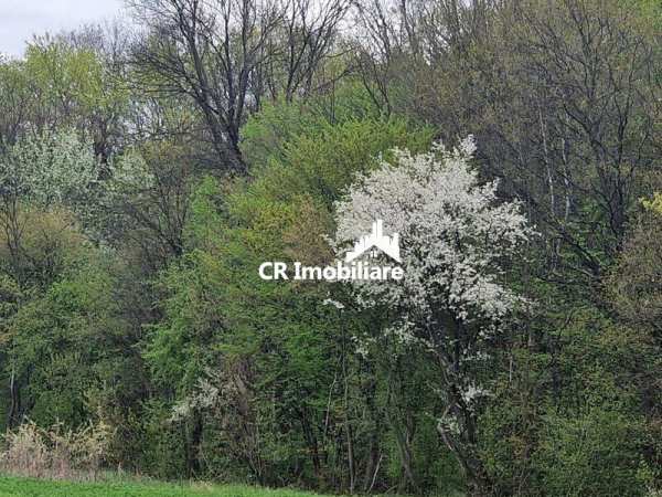 Teren unic prin locatie si priveliste, cu hotar la padurea din izvorani