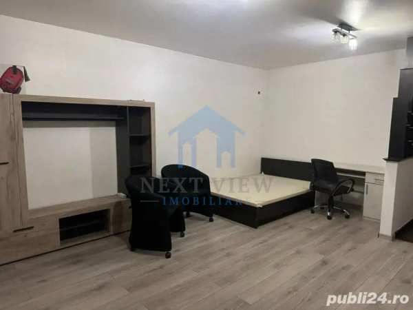 Apartament 1 camera, marasti