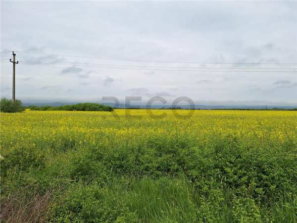 Reco, teren intravilan sacadat la e60