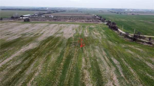 Teren extravilan ã¢â¬âãâ 5.800 mp ãâ®n cornetu, ideal pentru investiție