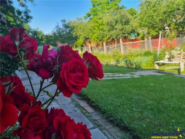 Gradina, livada si liniste -  casa pe 650 mp teren,  sacele, brasov