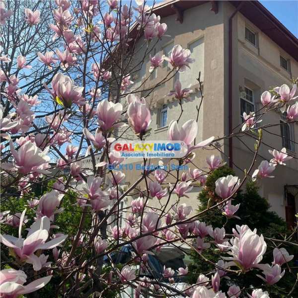 Vila reprezentativa cu finisaje de exceptie parcul carol