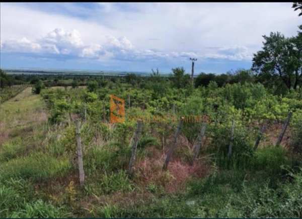 Teren intravilan de vanzare zona pietroasele