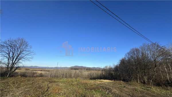 Teren intravilan 2475 mp satu nou de jos