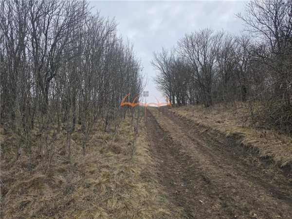 2 terenuri de vanzare in popesti baciu 500mãâ²+ 2.030mãâ².