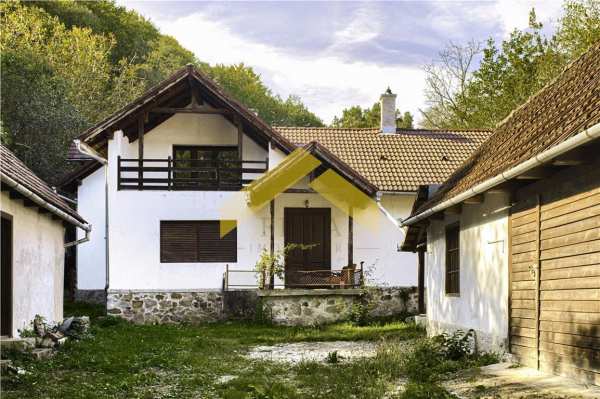 Casa cu padure de vanzare in savarsini