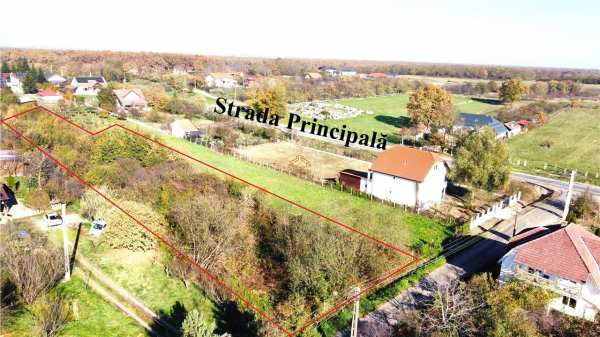 Teren intravilan 2.900 mp la intrarea in viile satu mare